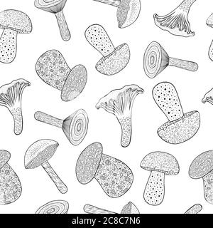 Edible mushrooms - seamless pattern. Doodle cartoon coloring page for adults. Vector illustration Stock Vector