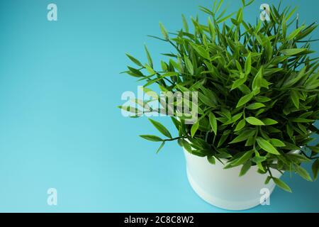 Blue background desk. Office design. Copy space Stock Photo