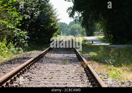 An old abandoned railroad line to nowhere. But very nice leading through a forest. Stock Photo