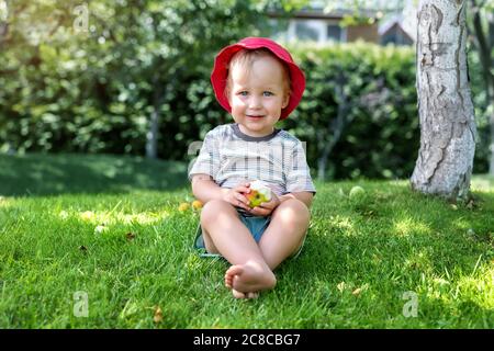 Cute adorable 2 years old caucasian blond toddler boy enjoy eating juicy sweet tasty apple fruit sitting on green grass lawn in park, garden or home Stock Photo