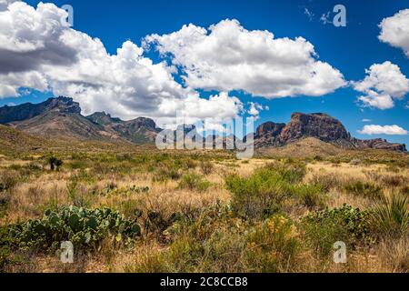 View  of Chisos Mountains from Gano Springs Road near Basin Junction Road at Big Bend National Park in Texas. Stock Photo
