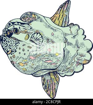 Moonfish or molamola fish - ink drawing. Hand drawn graphic desi Stock Vector