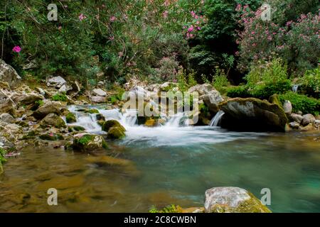 AKCHOUR, CHEFCHAOUEN, MOROCCO - Sep 01, 2018: Spring of fresh water passing through a valley or gorge and oleander trees in the mountains of Akchour M Stock Photo