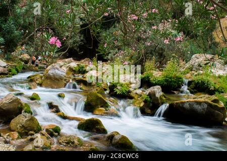 AKCHOUR, CHEFCHAOUEN, MOROCCO - Sep 01, 2018: Spring of fresh water passing through a valley or gorge and oleander trees in the mountains of Akchour M Stock Photo