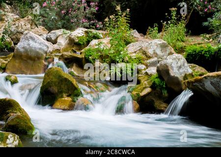 AKCHOUR, CHEFCHAOUEN, MOROCCO - Sep 01, 2018: Spring of fresh water passing through a valley or gorge and oleander trees in the mountains of Akchour M Stock Photo