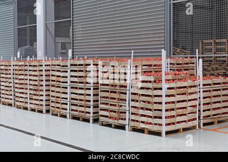 Crates of Tomato at Pallets in Warehouse Stock Photo