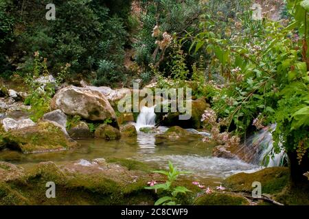 AKCHOUR, CHEFCHAOUEN, MOROCCO - Sep 01, 2018: Spring of fresh water passing through a valley or gorge and oleander trees in the mountains of Akchour M Stock Photo