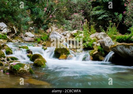 AKCHOUR, CHEFCHAOUEN, MOROCCO - Sep 01, 2018: Spring of fresh water passing through a valley or gorge and oleander trees in the mountains of Akchour M Stock Photo