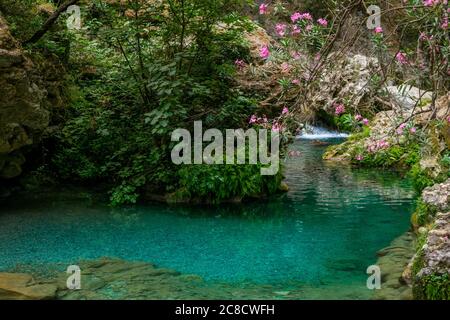 AKCHOUR, CHEFCHAOUEN, MOROCCO - Sep 01, 2018: Spring of fresh water passing through a valley or gorge and oleander trees in the mountains of Akchour M Stock Photo