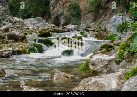 AKCHOUR, CHEFCHAOUEN, MOROCCO - Sep 01, 2018: Spring of fresh water passing through a valley or gorge and oleander trees in the mountains of Akchour M Stock Photo