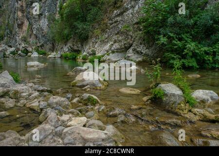 AKCHOUR, CHEFCHAOUEN, MOROCCO - Sep 01, 2018: Spring of fresh water passing through a valley or gorge and oleander trees in the mountains of Akchour M Stock Photo