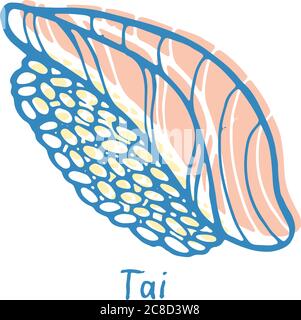 Sushi Tai - sketch color illustration. Nigiri with the bream fish and rice. Japanese seafood. Vector illustration Stock Vector
