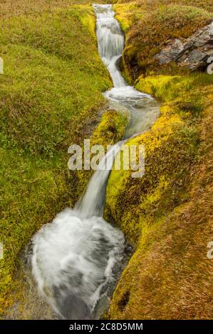 A creek is running down a mossy hillside at the Norwegian whaling station in Grytviken on South Georgia Island, Sub-Antarctica. Stock Photo