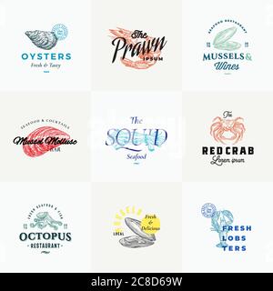 Premium Quality Retro Seafood Vector Signs or Logo Templates Set. Hand Drawn Vintage Sketches with Classy Typography, Shrimp, Oyster, Squid, Octopus Stock Vector