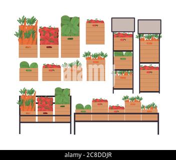 shop vegetables shelves and boxes design of retail buy and market theme Vector illustration Stock Vector