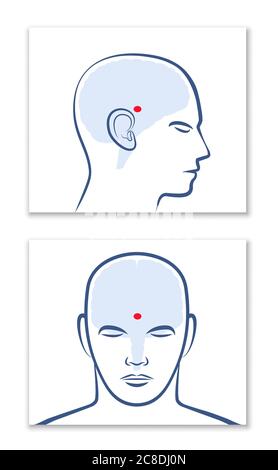 PINEAL GLAND or THIRD EYE. Lateral and frontal view with position in the human brain - graphic illustration on white background. Stock Photo