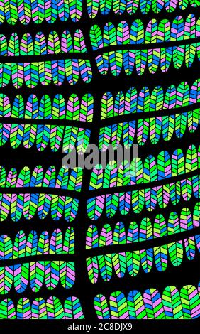 Fern - floral illustration. colorful plant drawing. Stained-glass window. Graphic psychedelic multicolored line art. Vector artwork. Stock Vector