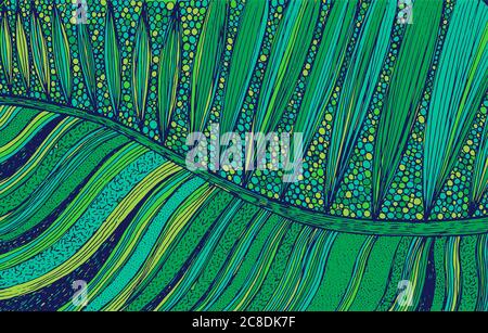 Palm leaf - floral illustration. colorful plant drawing. Graphic psychedelic multicolored line art. Vector artwork. Stock Vector