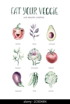 Vegetables healthy green organic set hand drawn watercolor diet menu with artichoke, broccoli, spinach, celery vitamin. Cabbage, leek and onion Stock Photo