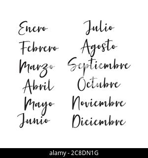 Hand Lettered Months of the Year in Spanish. Lettering for Calendar, Organizer, Planner Stock Vector