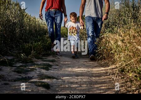 Parents holding son's hands while walking on trail amidst crops in farm Stock Photo
