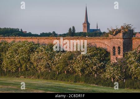 Germany, North Rhine-Westphalia, Wesel, Trees blossoming along ruins of Wesel Railway Bridge Stock Photo