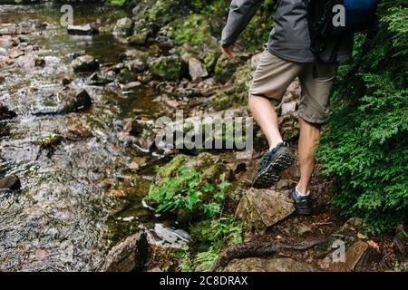 Low section of man hiking by stream in forest Stock Photo