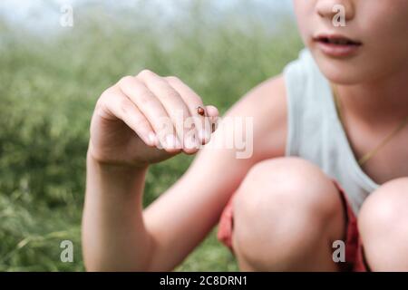 Crop view of boy in nature with ladybird on his finger Stock Photo