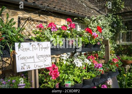 Pin money for a Lacock cottager selling potted plants outside his dwelling. Note the trust in customers posting payment through his letter box. Stock Photo