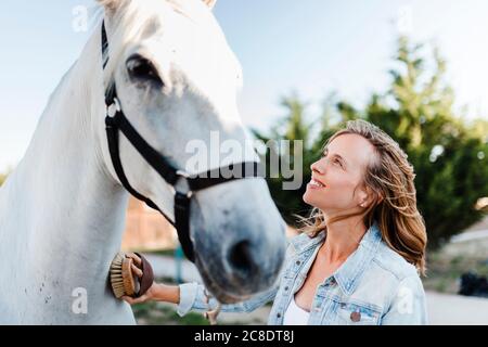Smiling woman brushing a horse on a farm Stock Photo