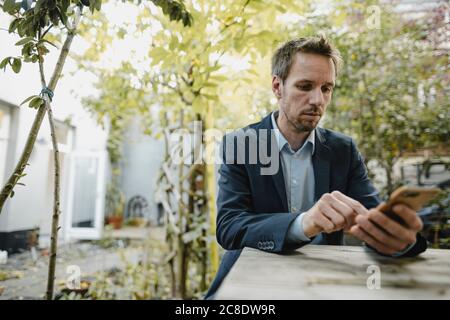 Buasinessman using smartphone in backyard Stock Photo
