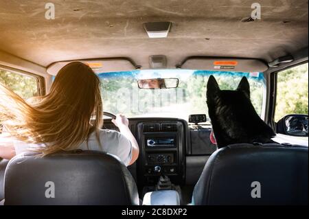 Woman with tousled long blond hair driving by husky on road trip Stock Photo