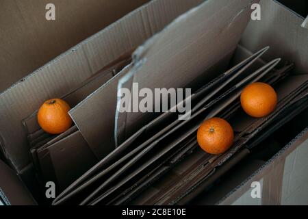 Three oranges on cardboard boxes Stock Photo