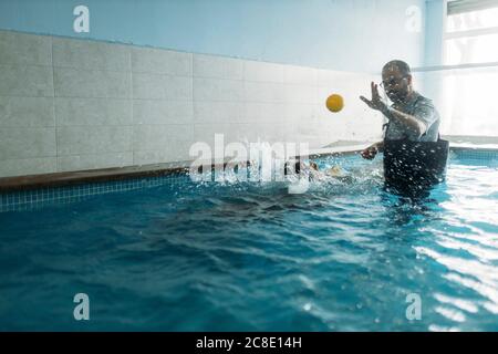 Male physiotherapist throwing ball towards Border Collie in swimming pool Stock Photo