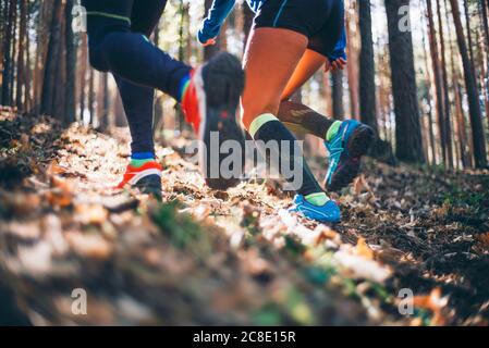 Mature couple running on land against trees in woodland Stock Photo