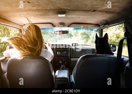 Blond woman with tousled hair by husky driving while on road trip Stock Photo