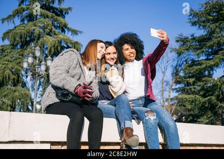 Woman taking selfie with happy female friends while sitting on retaining wall in park Stock Photo