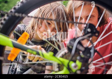 Father and son repairing bicycle during sunny day Stock Photo