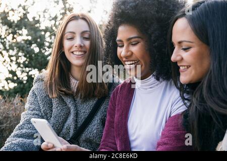 Cheerful young woman showing smart phone to female friends while sitting in park Stock Photo