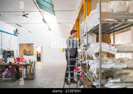 Businessman standing on step ladder at shelf in a warehouse Stock Photo