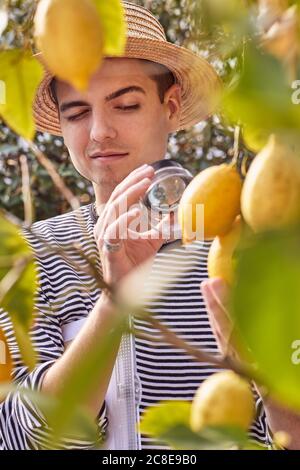 Close-up of young man looking lemon through magnifying glass Stock Photo