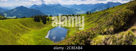 Germany, Bavaria, Oberallgau, Wertacher Hornle, Blooming alpenrose (Rhododendron ferrugineum) and Hornle lake in Allgau Alps landscape Stock Photo