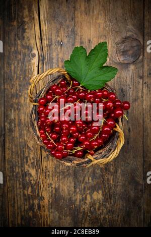 Small wicker basket with ripe red currant berries Stock Photo