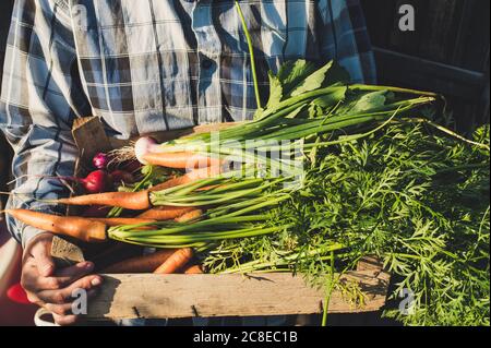Female farmer holding wooden box full of freshly harvested vegetables.  Small business owner