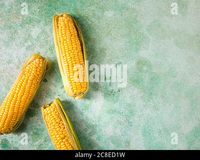 Three fresh corncobs Stock Photo