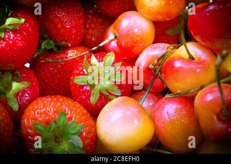 High angle view of fresh Rainer cherries and strawberries Stock Photo