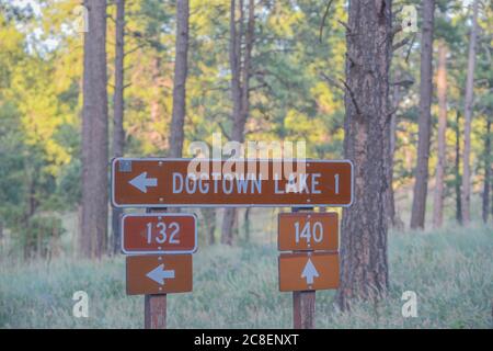 Dogtown Lake Sign in the kaibab National Forest in Northern Arizona. Stock Photo