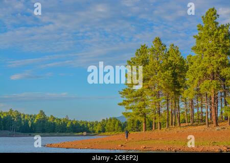 The beach of Dogtown Lake, camping and picnic grounds in the Kaibab National Forest, Arizona Stock Photo