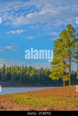 The beach of Dogtown Lake, camping and picnic grounds in the Kaibab National Forest, Arizona Stock Photo