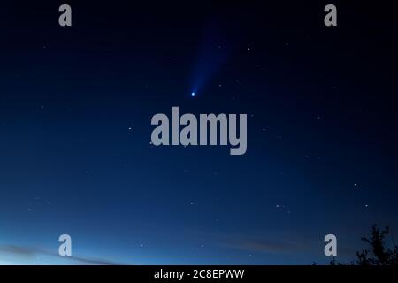 Comet Neowise in the night sky. Astrophotography - meteor on a starry background. Selective focus, grain image Stock Photo